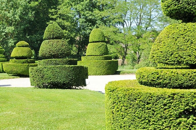 Ici - Opportunities from Studying Horticulture